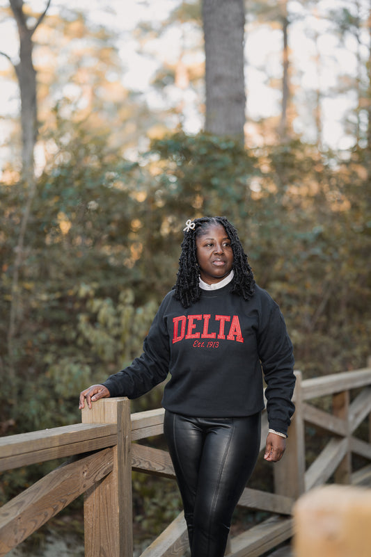 Sparkle Delta Sweatshirt