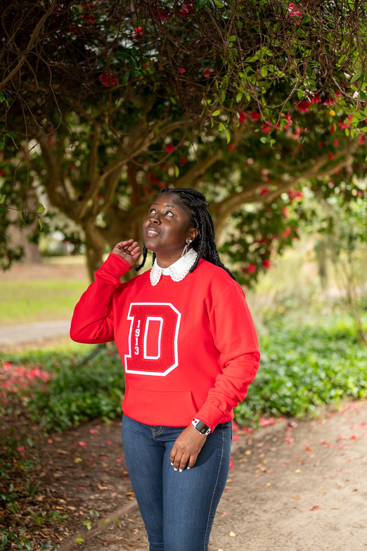 Varsity D Chenille Sweatshirt